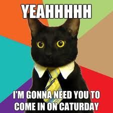 caturday