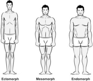 body types