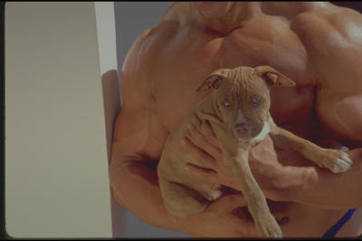 bodybuilder with puppy