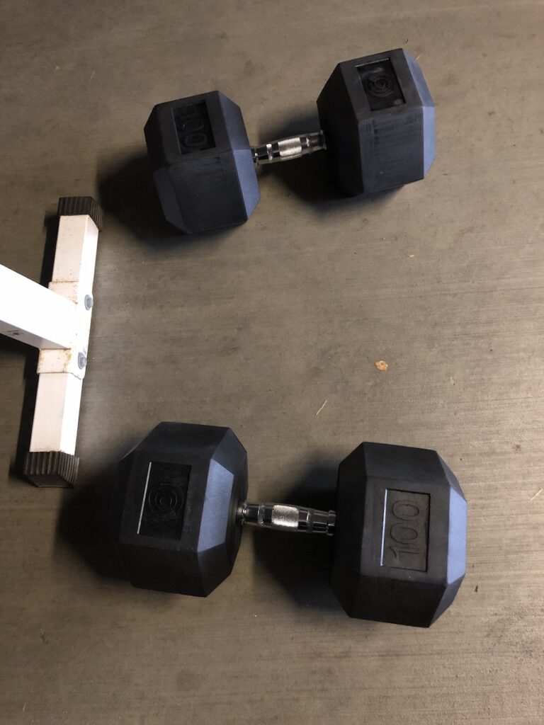 home gym 100 lb dumbbells