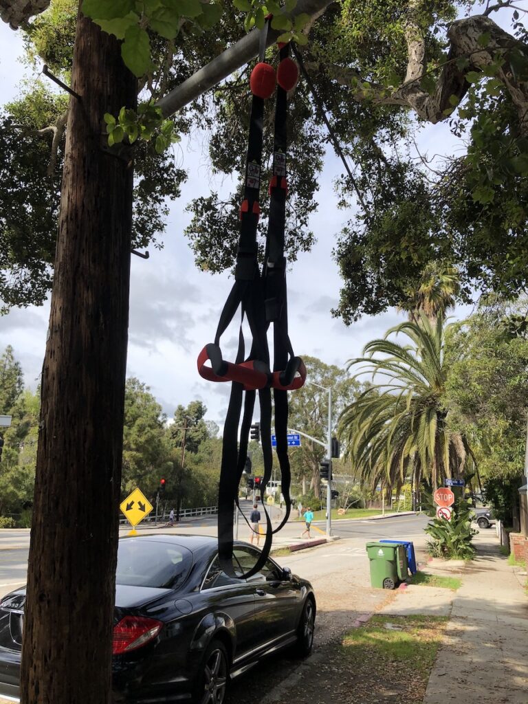 suspension trainer pull ups