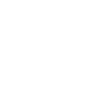 Initial Consultation